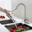 Frigidaire Alexis Single Handle Pull Down Kitchen Sink Faucet