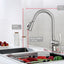 kitchen sink and faucet with vegetables in sink